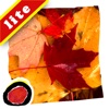 Fall Changes - Learn about how nature changes during the autumn season in this book with words and photographs by Ellen Senisi ("Lite" version by Auryn Apps)