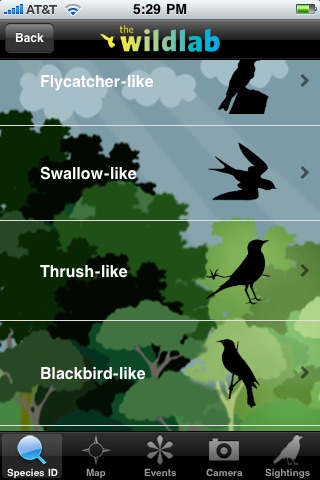 WildLab Bird screenshot 2