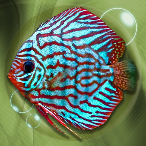 Tropical Aquarium icon