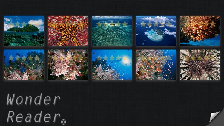 Guide To Tropical Marine Fish 2