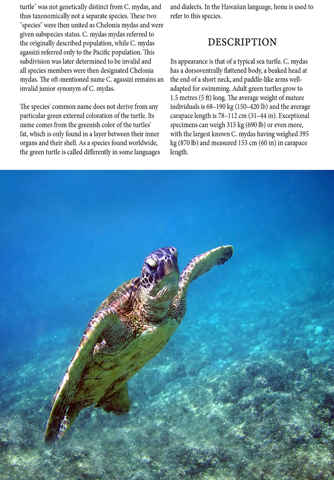 Turtle Magazine screenshot 4