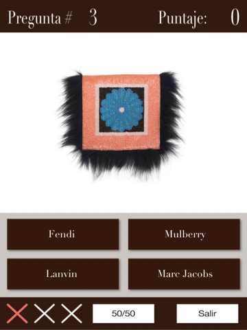 Name The Designer Handbags for iPad FREE screenshot 4