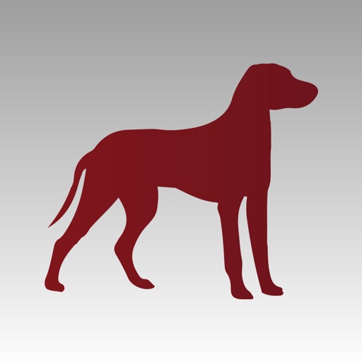 Salmon Brook Veterinary Hospital by Cheshire Partners LLC