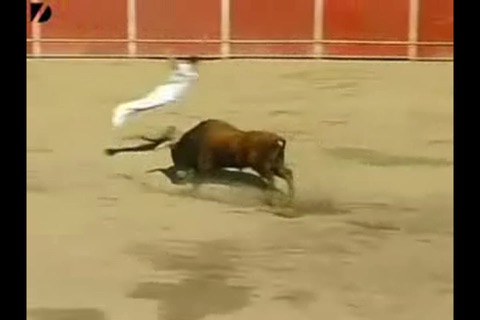 Bullfighting for iPhone screenshot 3