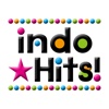 Indo Hits! - Get The Newest Indonesian music cherts!
