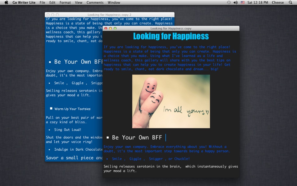 #5. Go Writer Lite (macOS) 由: Hong Chen