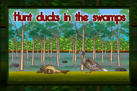 Dog Agility Hunters : The swamp hunt for ducks - Free Edition screenshot 3