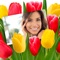 Turn your lovely photos into beautiful pictures by adding flower frames and effects