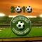 The 2010 World Cup soccer craze is now on