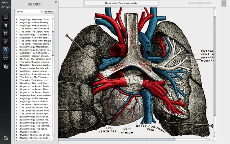 gray's anatomy premium edition iphone screenshot 4