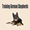 The German Shepherd dog is easily one of the most widely accepted and recognized breeds of dog anywhere in the world