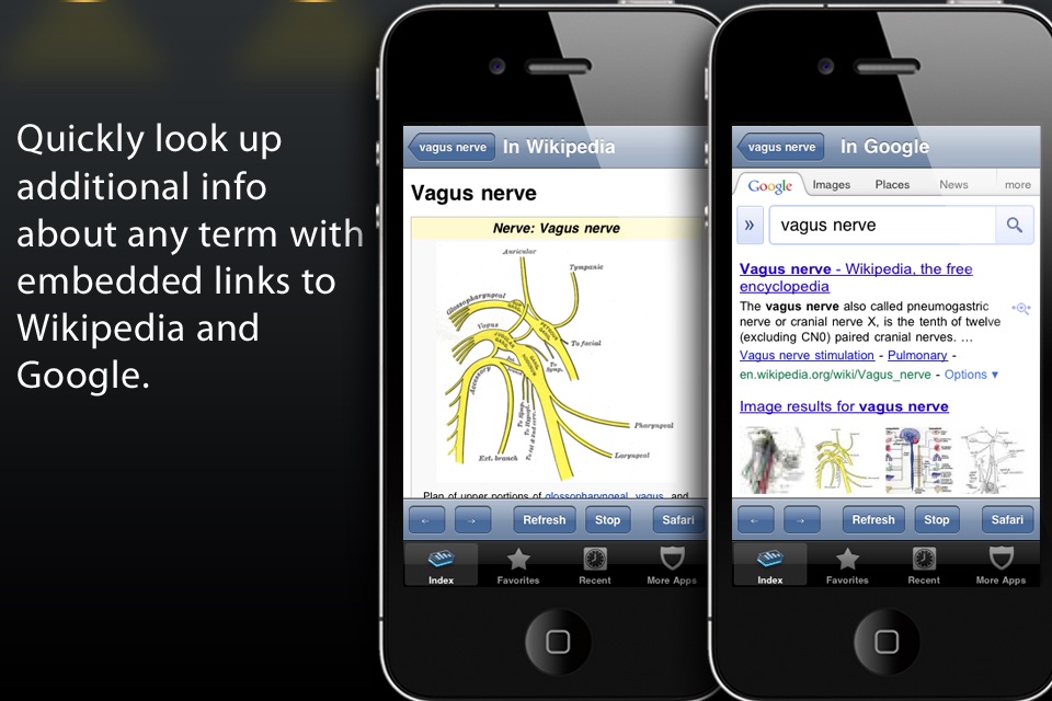 Anatomy Pronunciations Lite screenshot 3