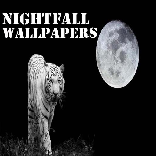 NightFall Wallpapers