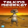 Talking Meerkat Pro