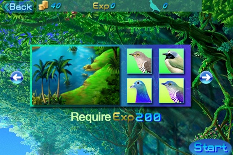 Bird Traps screenshot 2