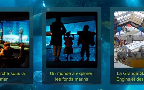 La Cité de la Mer screenshot 4