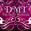 DMT The Spirit Molecule