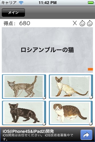 Cat Quiz screenshot 3