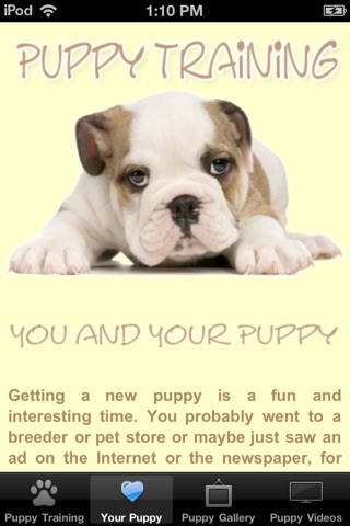 Puppy Training Tips screenshot 2