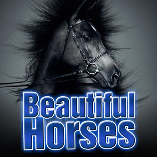 Beautiful Horses Wallpapers