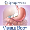 3D Digestive Anatomy for Springer (Spijsvertering Anatomie voor Springer)