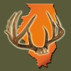 Illinois Deer Hunting Guide