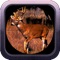 Deer Hunter Gold: Sniper Hunting 2