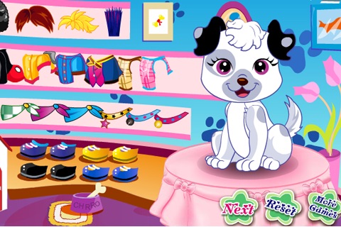 Pet Fashion Contest