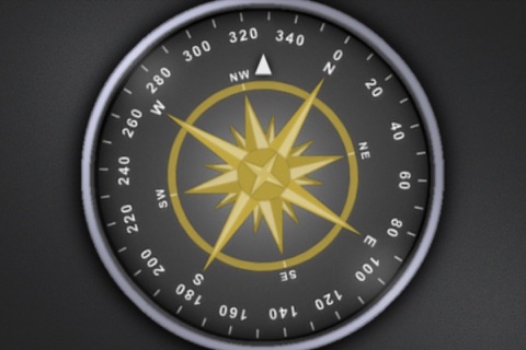 V-Cockpit GPS Lite - All in one (Compass, Altimeter, Speedometer, HUD, ...) screenshot 3