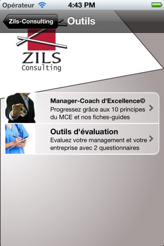 Zils-Consulting screenshot 2