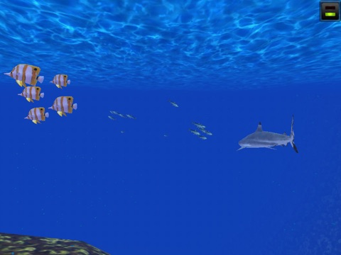 Fish Swarm screenshot 2