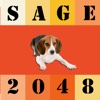 2048 Beagle Edition