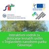 Interaktivni vodnik za določanje lesnatih rastlin v Triglavskem narodnem parku (Slovenija)