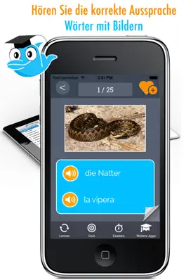 Game screenshot Learn German and Italian Vocabulary: Memorize Words - Free mod apk