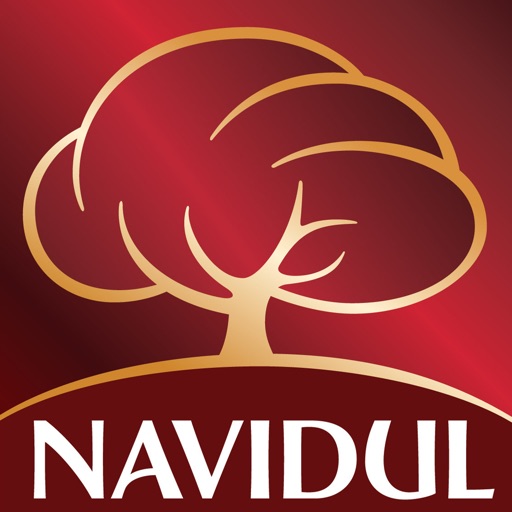 Cut A Navidul Icon