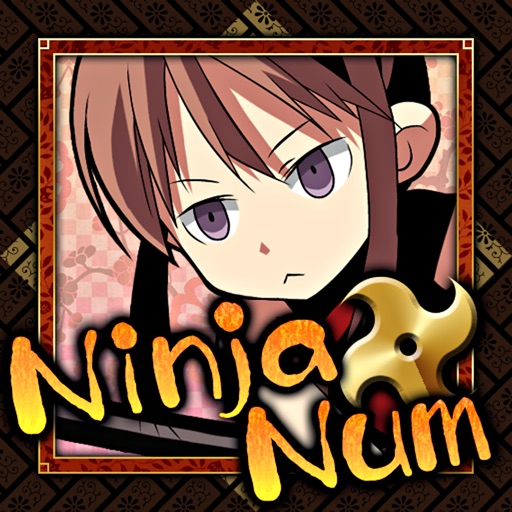 Ninja numbers Icon