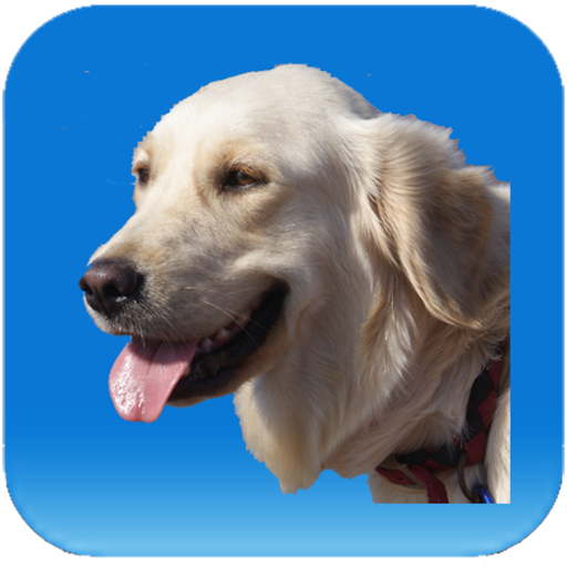 Dog Medical Agenda icon