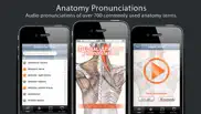 anatomy pronunciations lite iphone screenshot 1