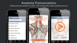 Game screenshot Anatomy Pronunciations Lite mod apk