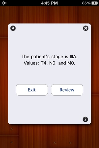StageIt - Lung Cancer Staging Assistant screenshot 3