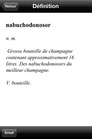 French - Dictionary Screenshot