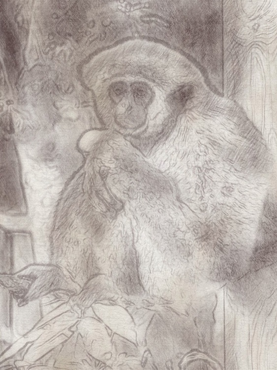 PhotoArtistaHD - Sketch screenshot-4