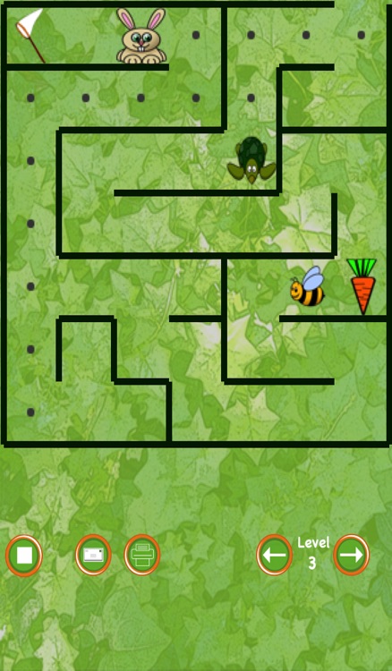 Bunny Maze Race (rabbit vs turtle)