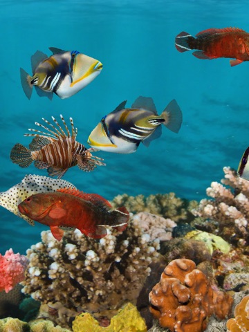 MyReef 3D Aquarium HD screenshot 2