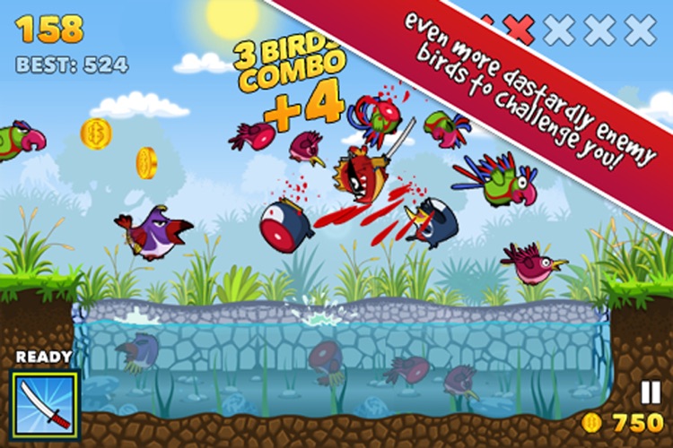 Fish Fury