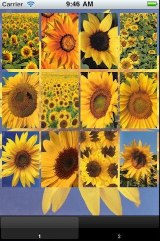 Sunflower Wallpaper screenshot 2