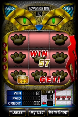 SLOTMACHINE COIN TO A CAT screenshot 2