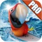 Birds on Boards Pro Game: Tiny Parrots Water adventure Race