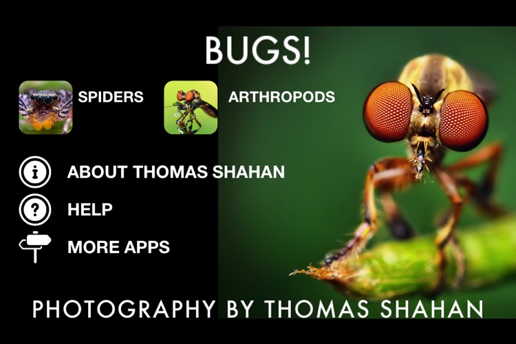 Bugs! - Incredible Macro Photography by Thomas Shahan