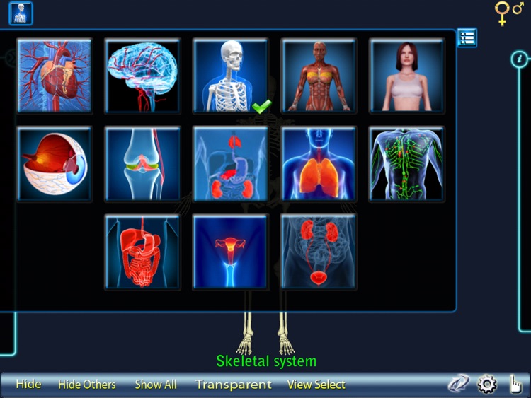 Human Body 3D for iPad